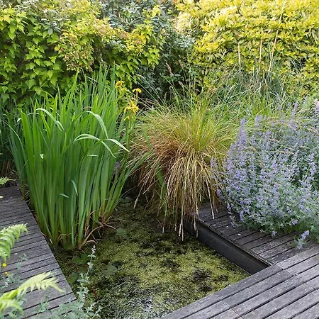 De Lange Mouwen Bed & Breakfast