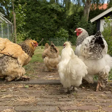 De Lange Mouwen Beesd