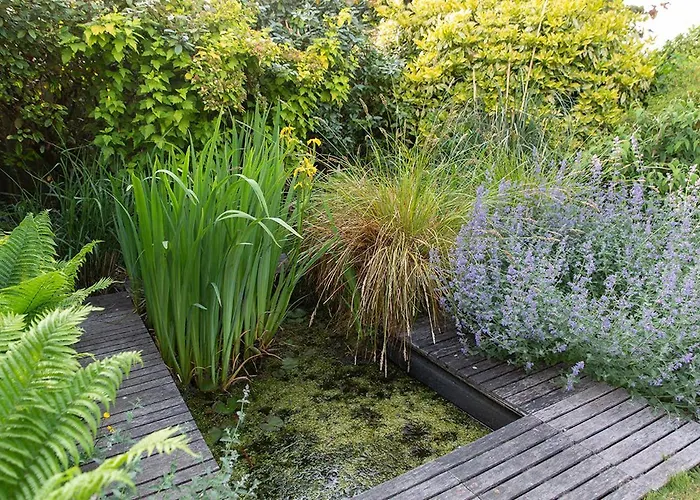 De Lange Mouwen Bed & Breakfast